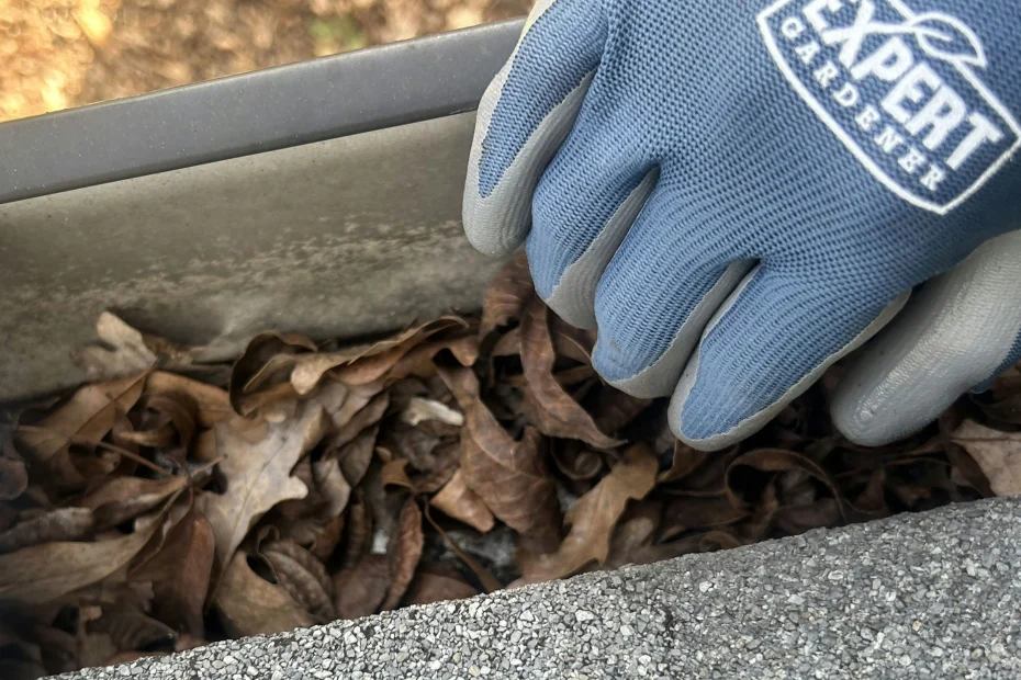 Gutter Cleaning Belvedere Park