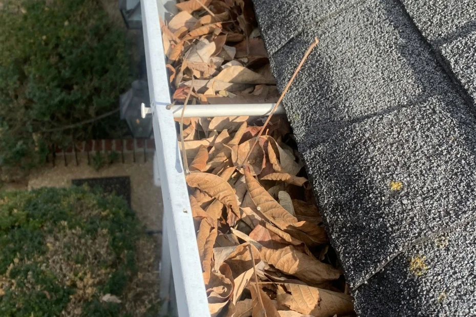 Gutter Cleaning Belvedere Park