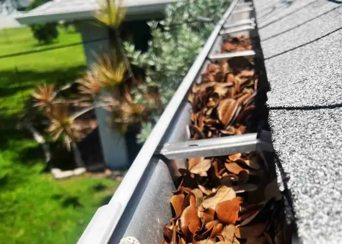 Gutter Cleaning Belvedere Park home page